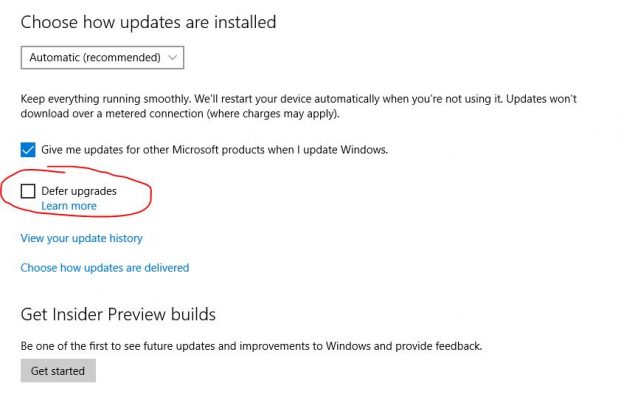 Update Windows 10 dengan Defer Upgrade
