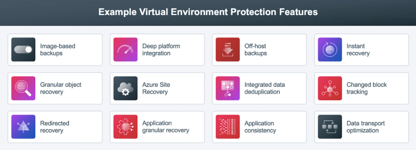 Example Virtual Environment Protection Features